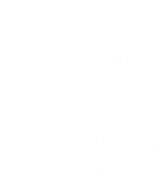 Visit maldives Logo