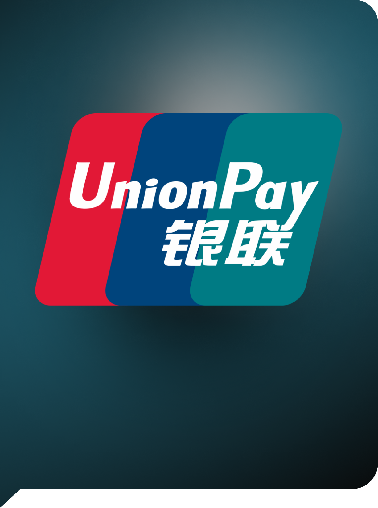 Union Pay